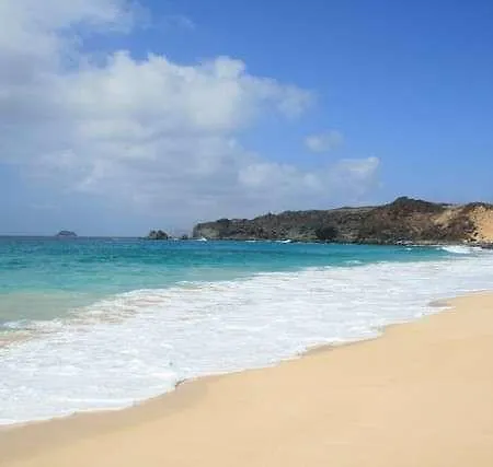 Parnine *